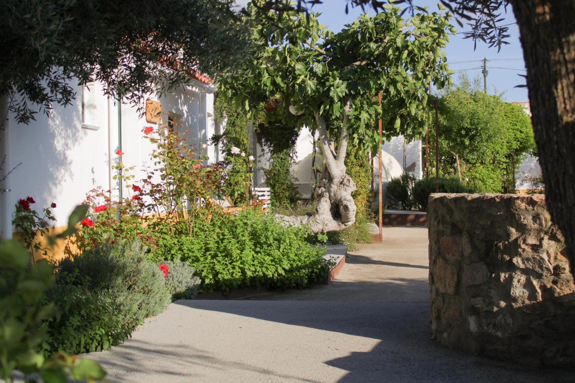 Sao Bras Do Regedouro - Turismo Na Aldeia Villa เอโวรา ภายนอก รูปภาพ